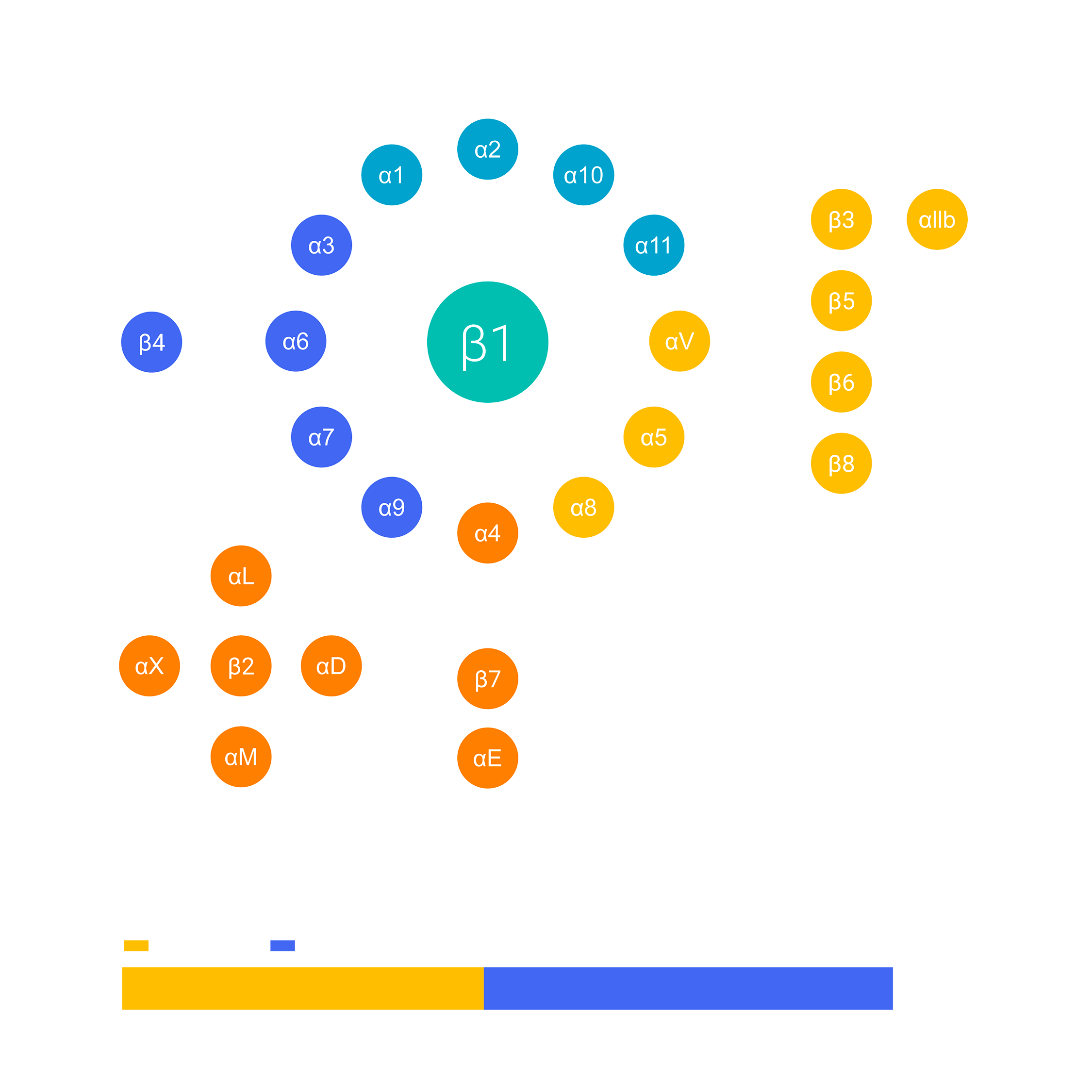 Pliant_Graphs_LibraryGraphic-text