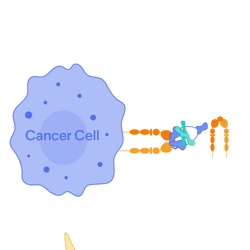 Graphic representation of PLN-101095 and how it works against cancer cells